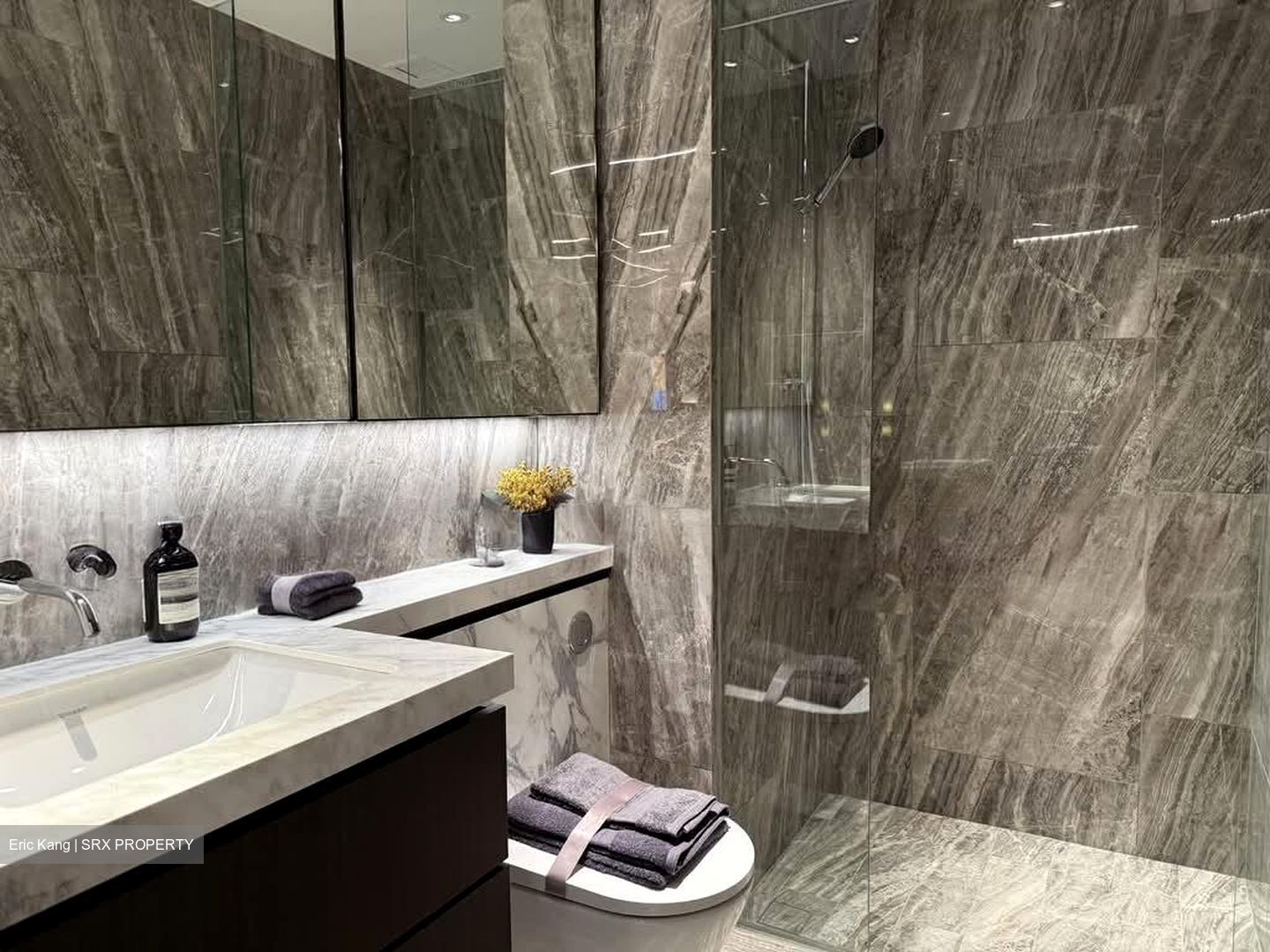 Newport Residences (D2), Apartment #582923531